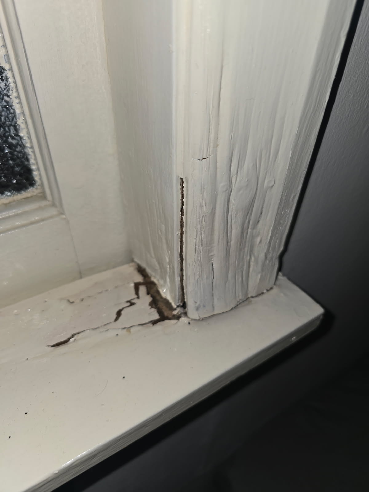 Termite mudding and damage on a window frame