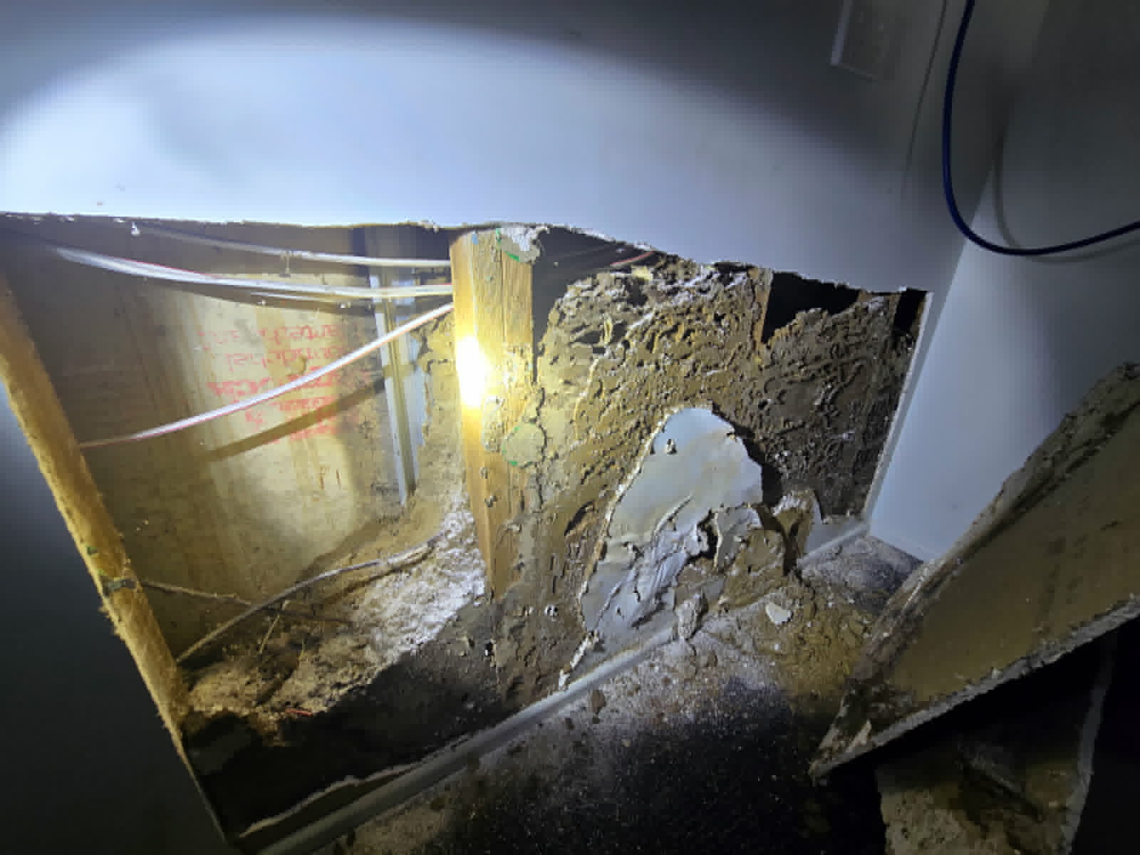Extensive termite carton nest exposed inside a wall cavity